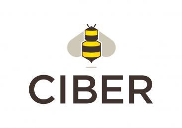 CIBER small size CIBER small size